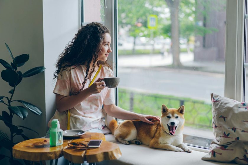 Woman with curly hair holds teacup and pets happy Shiba Inu on windowsill.