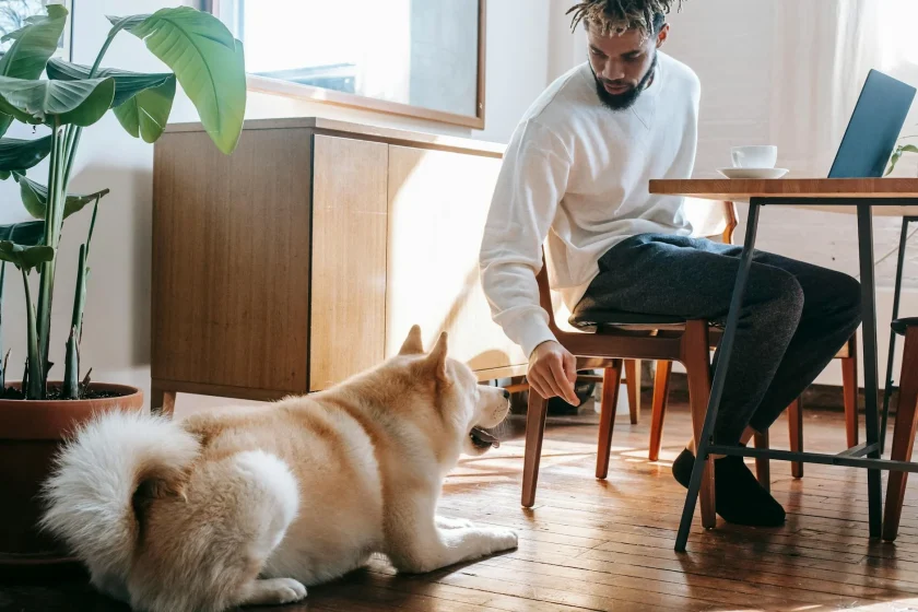 A bearded man with locs sits at a desk with his laptop and coffee while a cream-colored Shiba Inu dog looks up from the floor