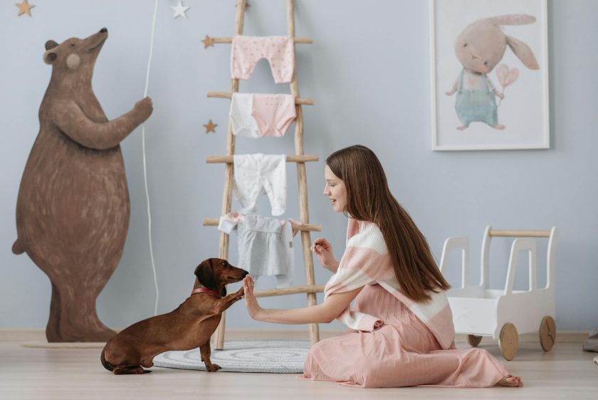 Woman kneels to high-five dachshund dog in nursery with drying baby clothes and stuffed bear.